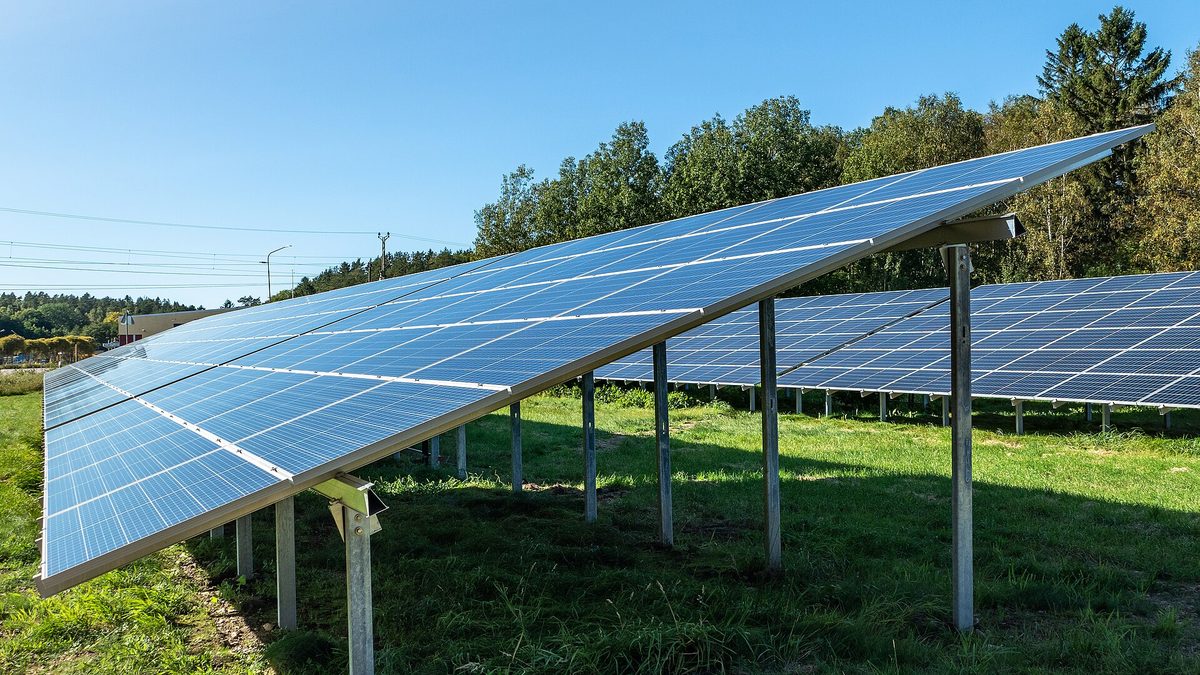 Solpaneler i svensk solcellspark