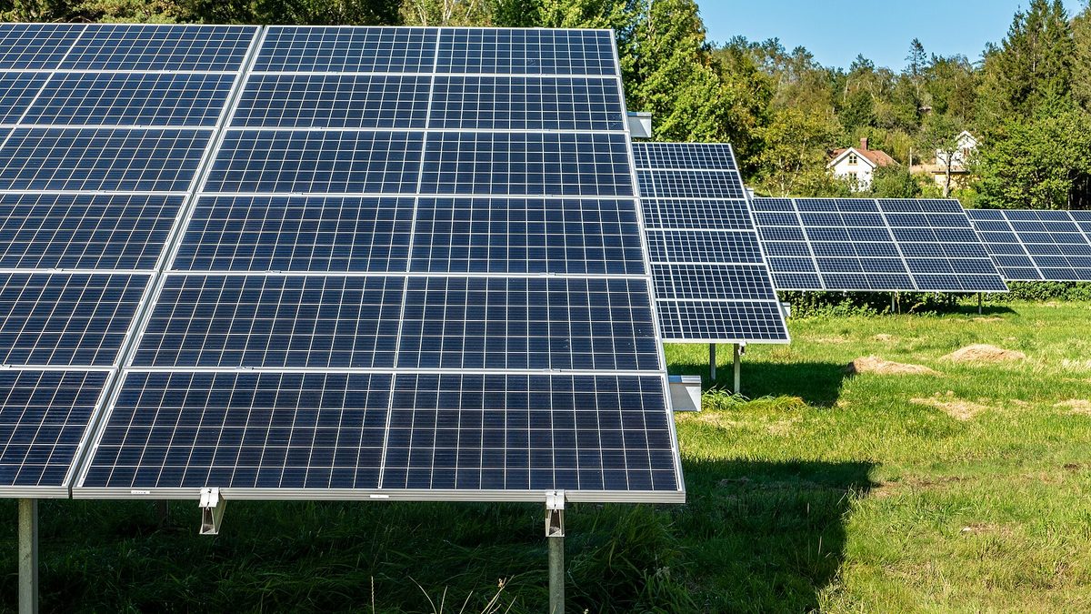 Solpaneler i solcellspark fångar solens energi
